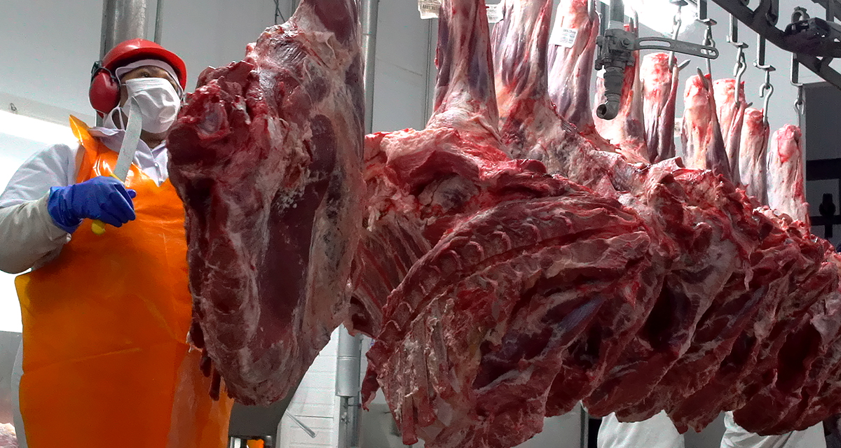 RAMAX-Group transforma pequenos e médios produtores brasileiros em players globais de carne