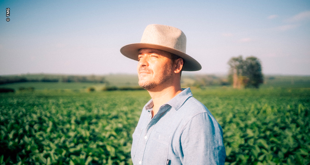 Condições fitossanitárias e climáticas devem fazer parte do checklist do produtor para a escolha das cultivares de soja