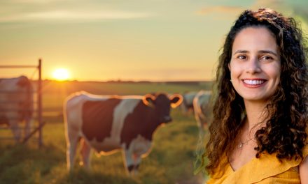 Consumidor brasileiro pagaria mais caro por carne bovina sustentável