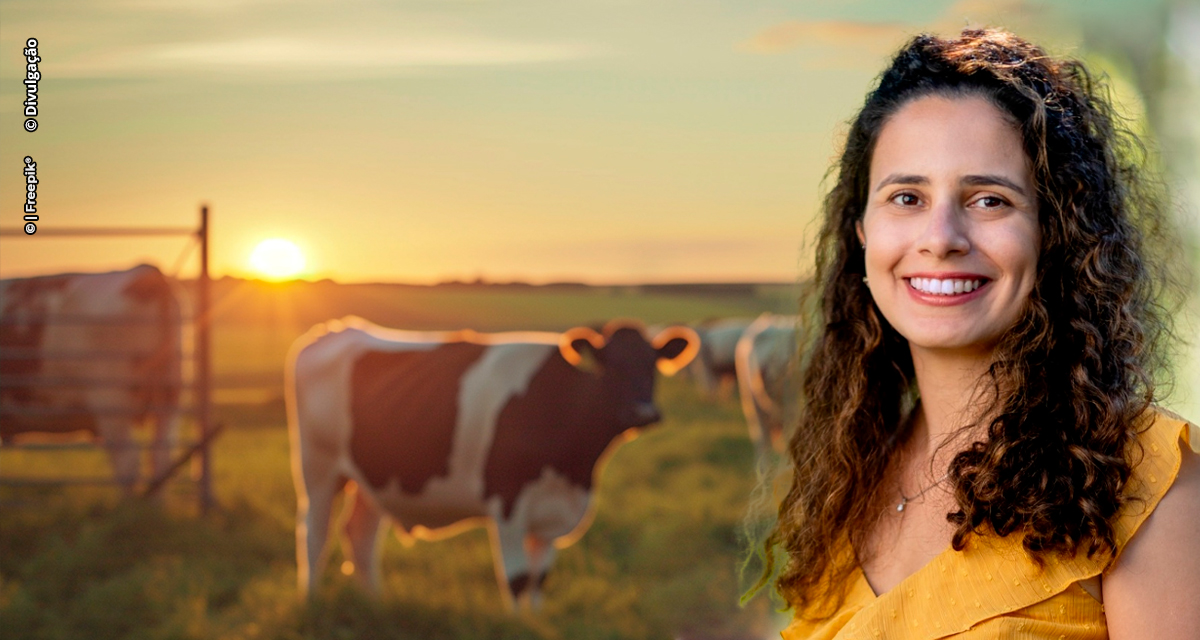 Consumidor brasileiro pagaria mais caro por carne bovina sustentável