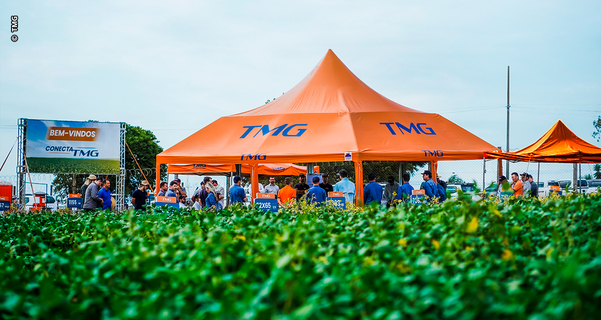 Produtores do Paraná e Goiás têm acesso a cultivares de soja inovadoras desenvolvidas pela TMG