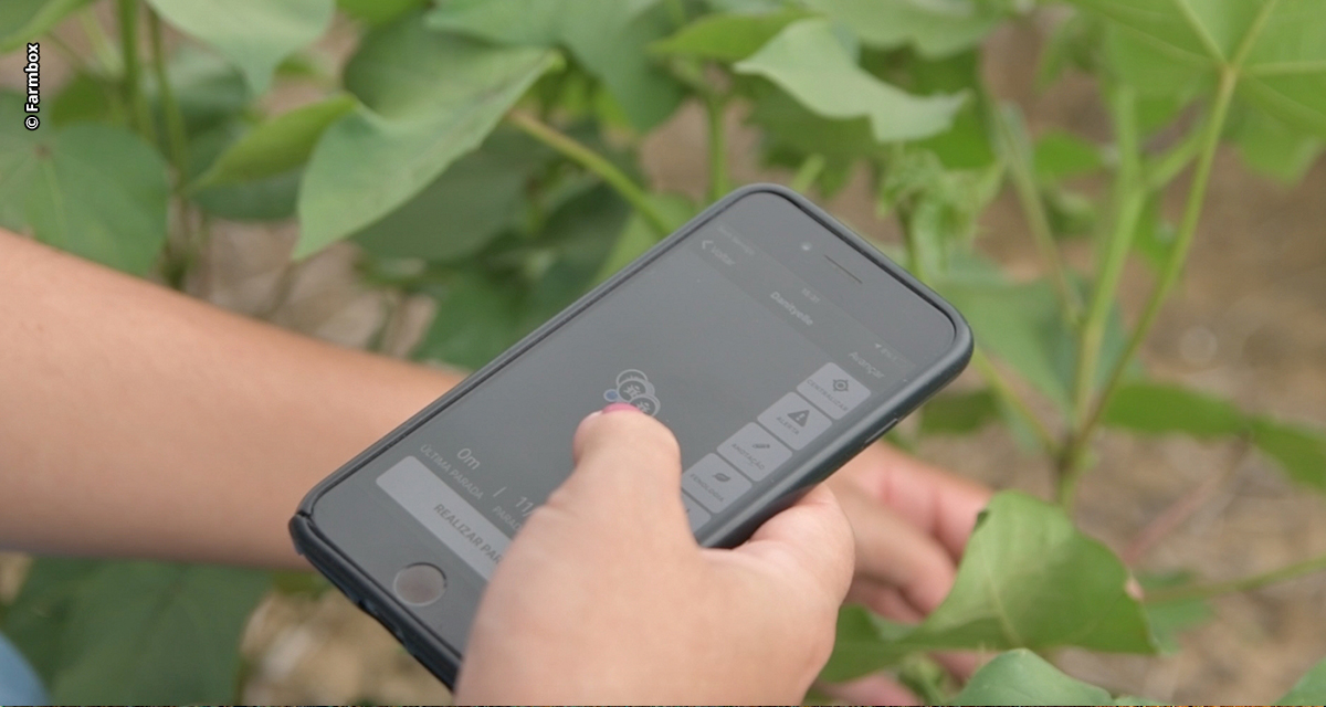 Farmbox se une à europeia xFarm Technologies para liderar atuação em agricultura digital na América Latina